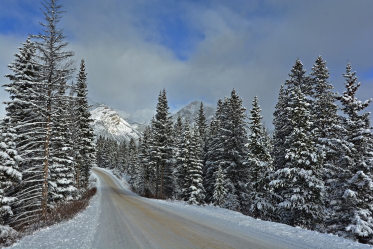 houses, Stones, Parks, Trees, Snow, Banff, Nature HD Wallpaper Desktop Background