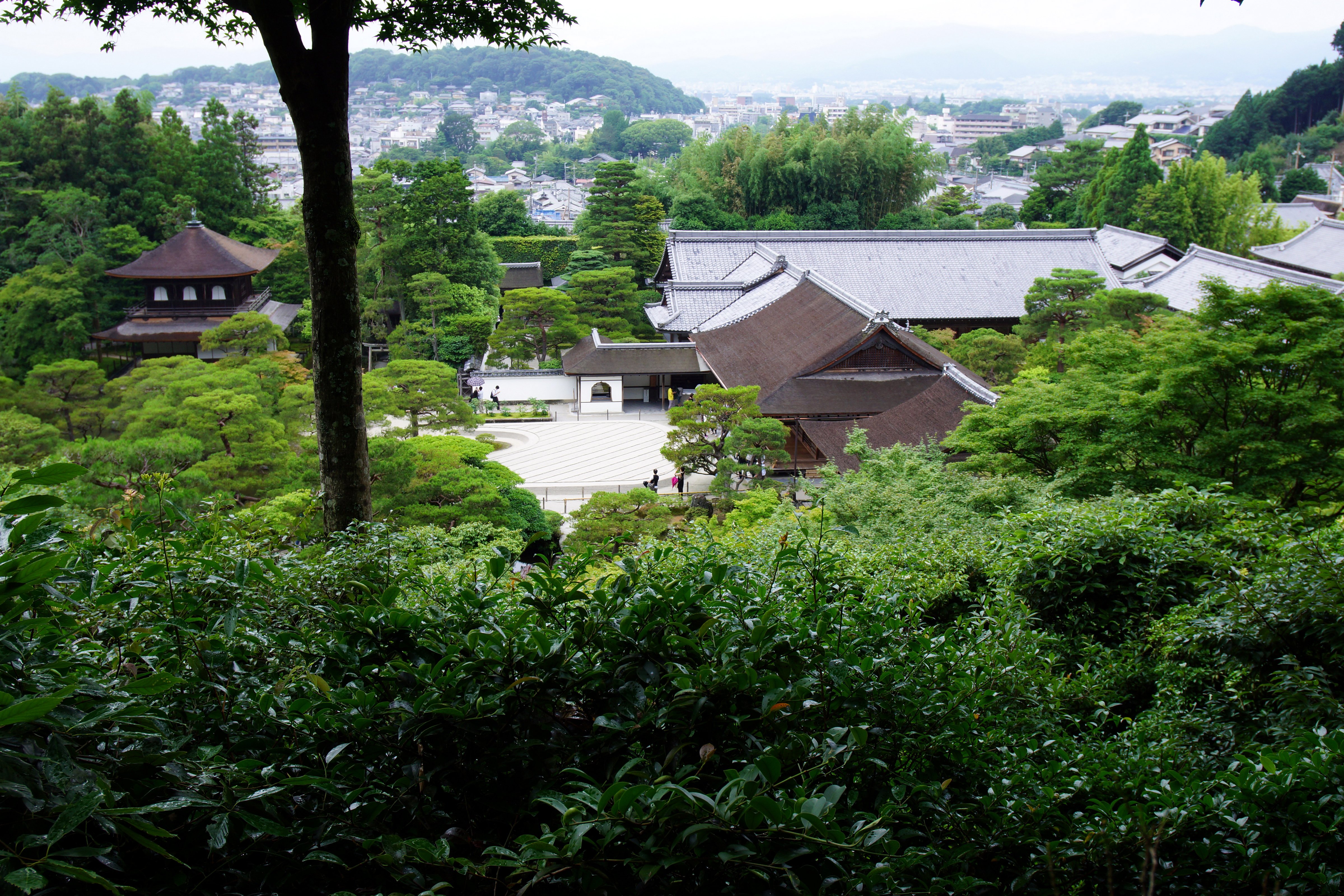 japan, Houses, Trees, Kyoto, Nature Wallpaper