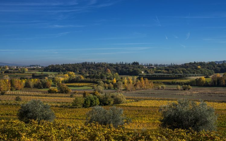 scenery, Italy, Fields, Sky, Shrubs, Lazise, Veneto, Nature HD Wallpaper Desktop Background