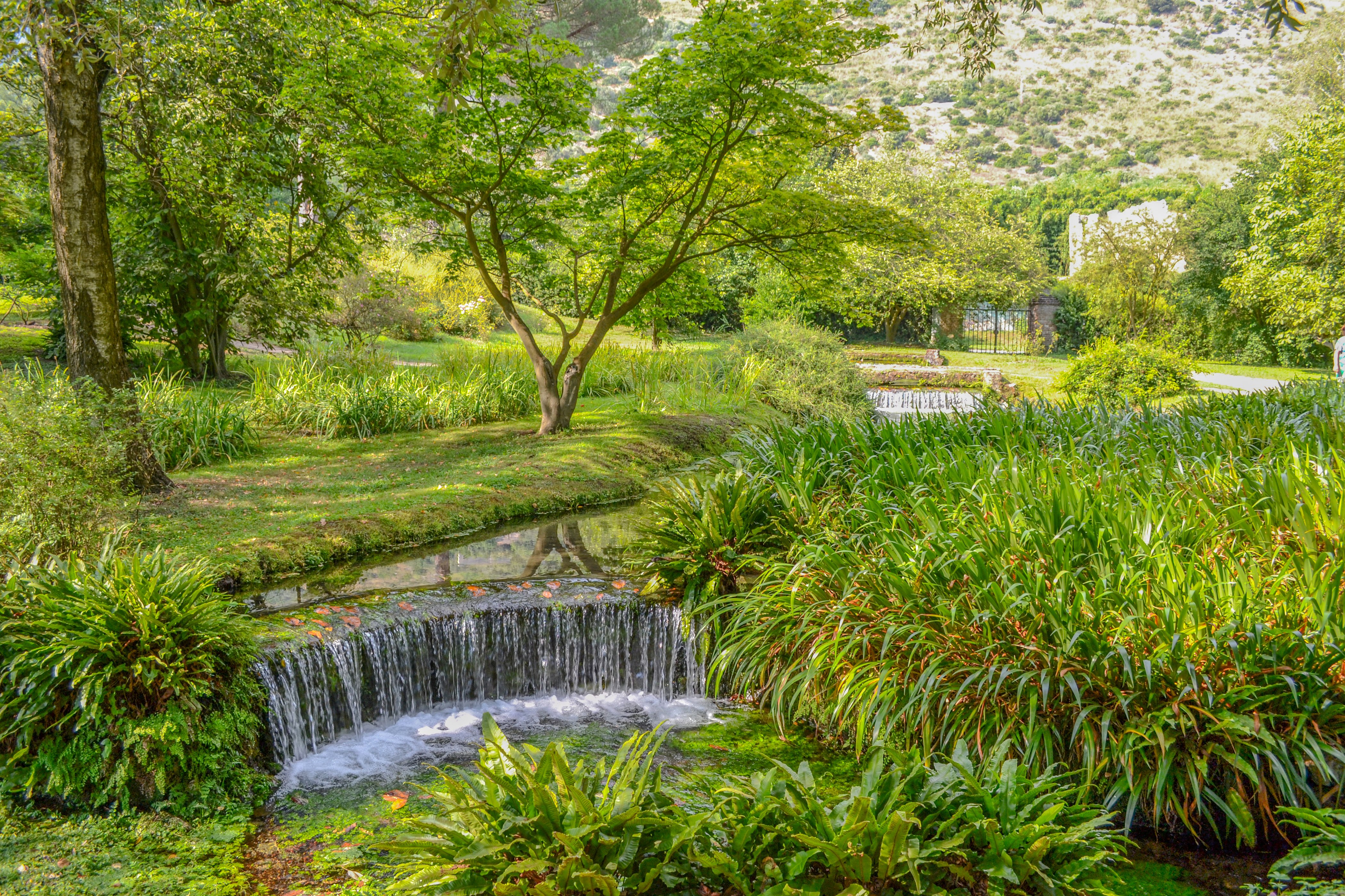 italy, Parks, Waterfalls, Summer, Trees, Garden, Of, Ninfa, Nature Wallpaper