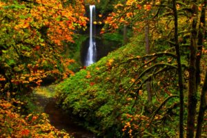 usa, Parks, Autumn, Waterfalls, Silver, Falls, State, Park, Nature