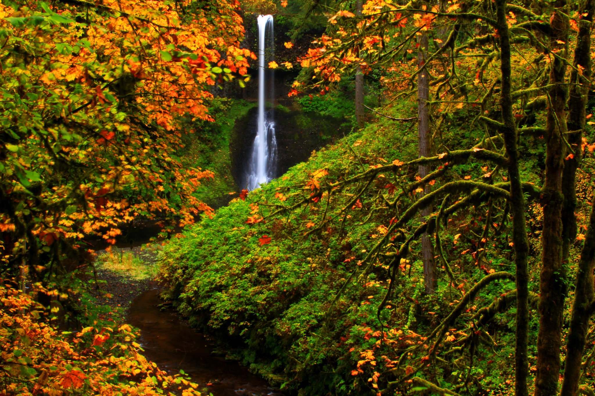 usa, Parks, Autumn, Waterfalls, Silver, Falls, State, Park, Nature Wallpaper