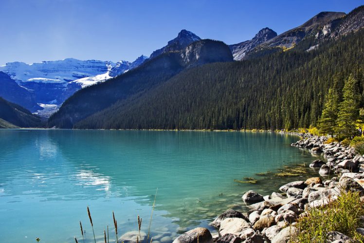 canada, Scenery, Lake, Mountains, Forests, Stones, Lake, Louise, Alberta, Nature HD Wallpaper Desktop Background