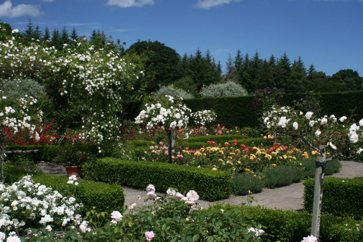 england, Gardens, Roses, Shrubs, Rosemoor, Gardens, Devon, Nature HD Wallpaper Desktop Background