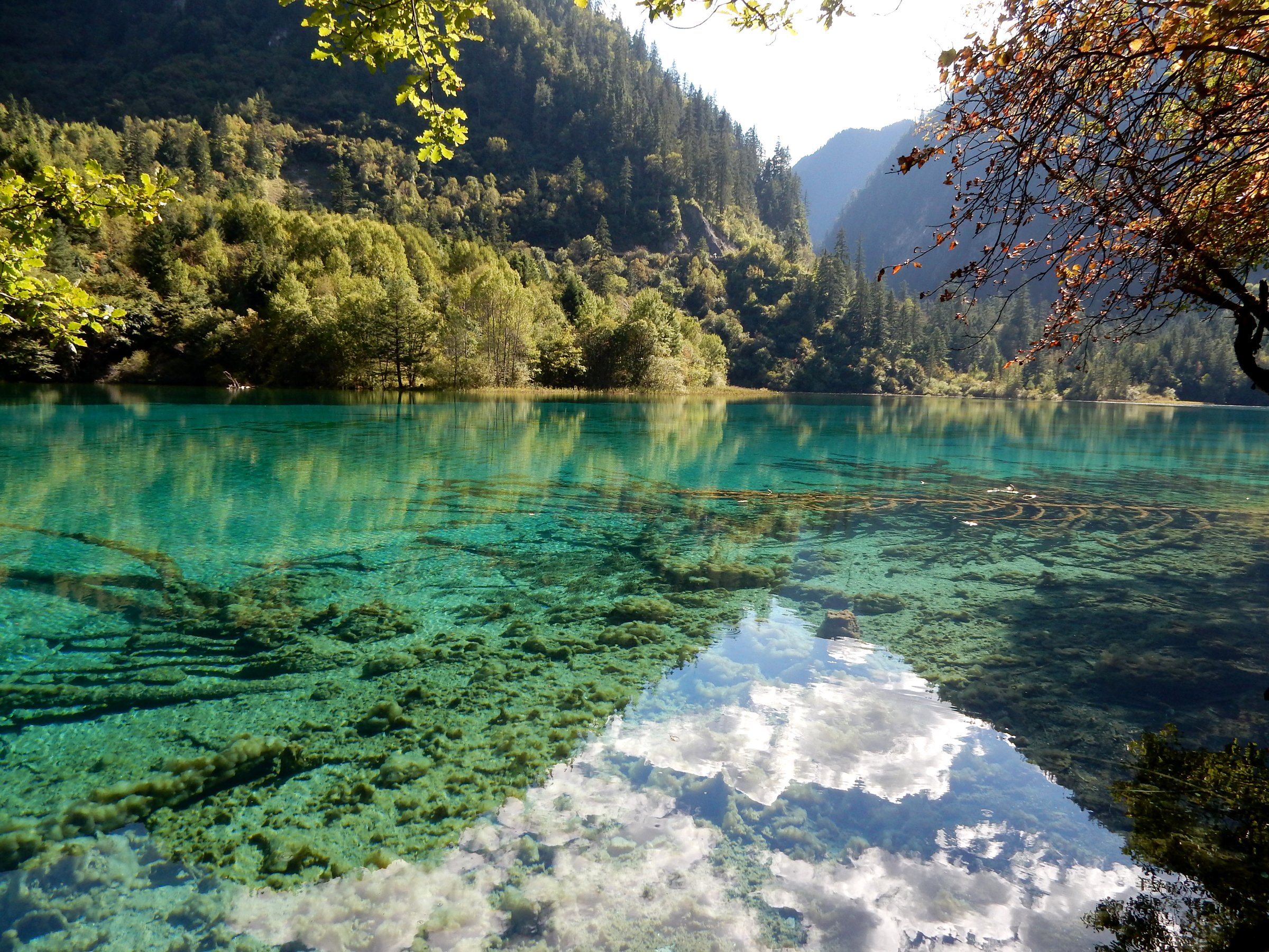 china, Scenery, Parks, Lake, Forests, Jiuzhaigou, National, Park ...