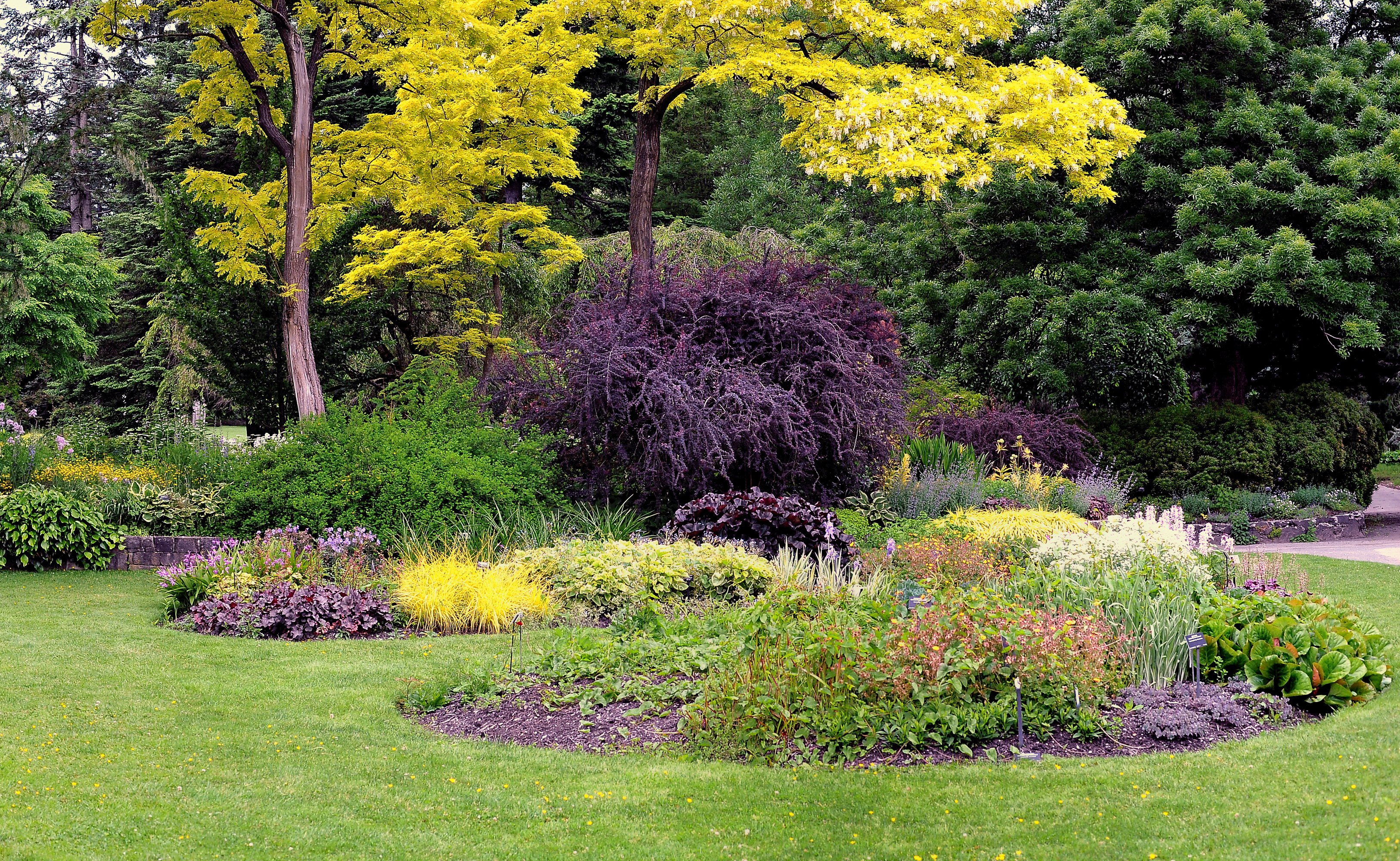 canada, Gardens, Vancouver, Lawn, Shrubs, Trees, Fir, Vandusen, Botanical, Garden, Nature Wallpaper