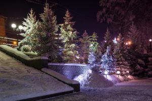 russia, Winter, Snow, Fir, Night, Street, Lights, Nature