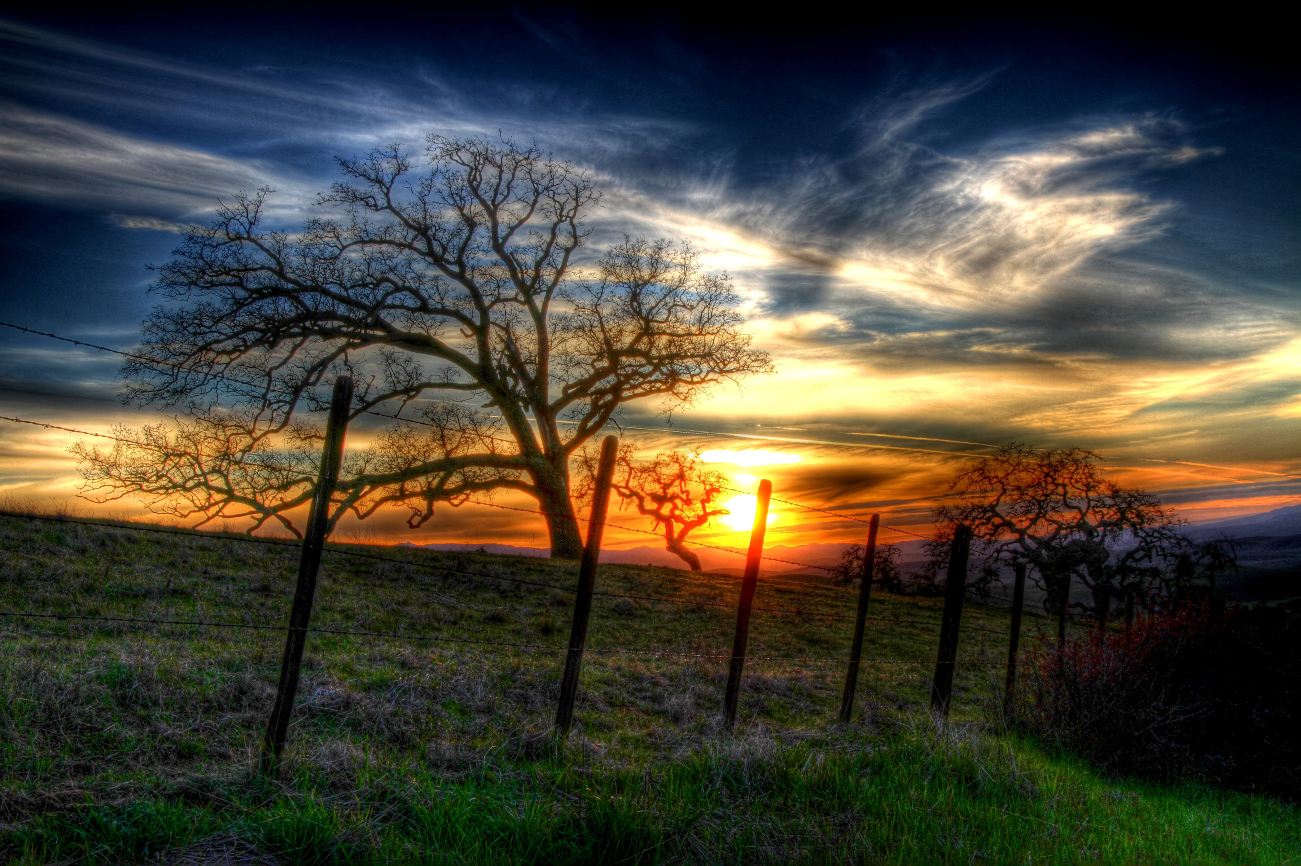 scenery, Sunrises, And, Sunsets, Grasslands, Sky, Trees, Nature Wallpaper