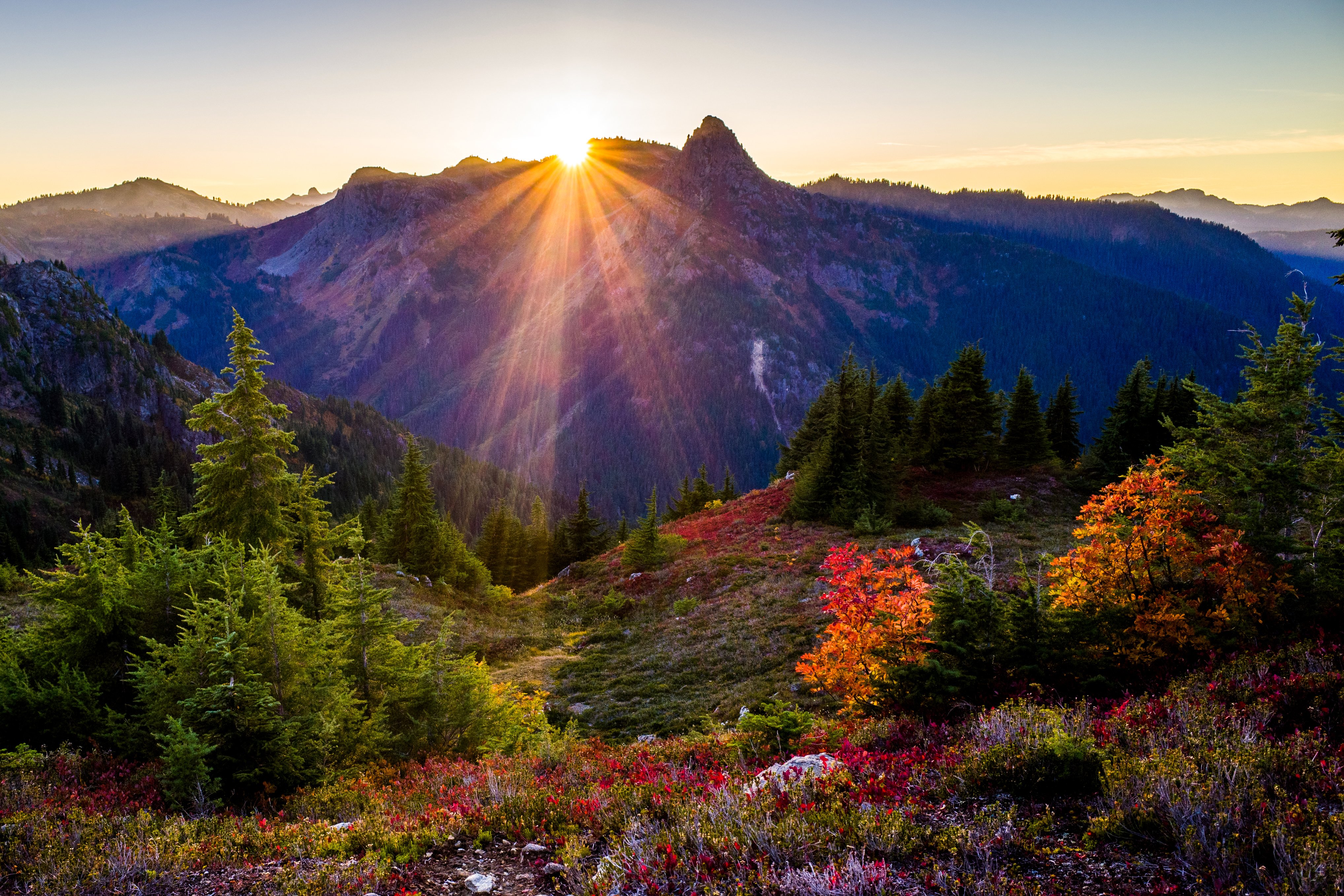 Usa Parks Mountains Sunrises And Sunsets Fir Shrubs Rays Of