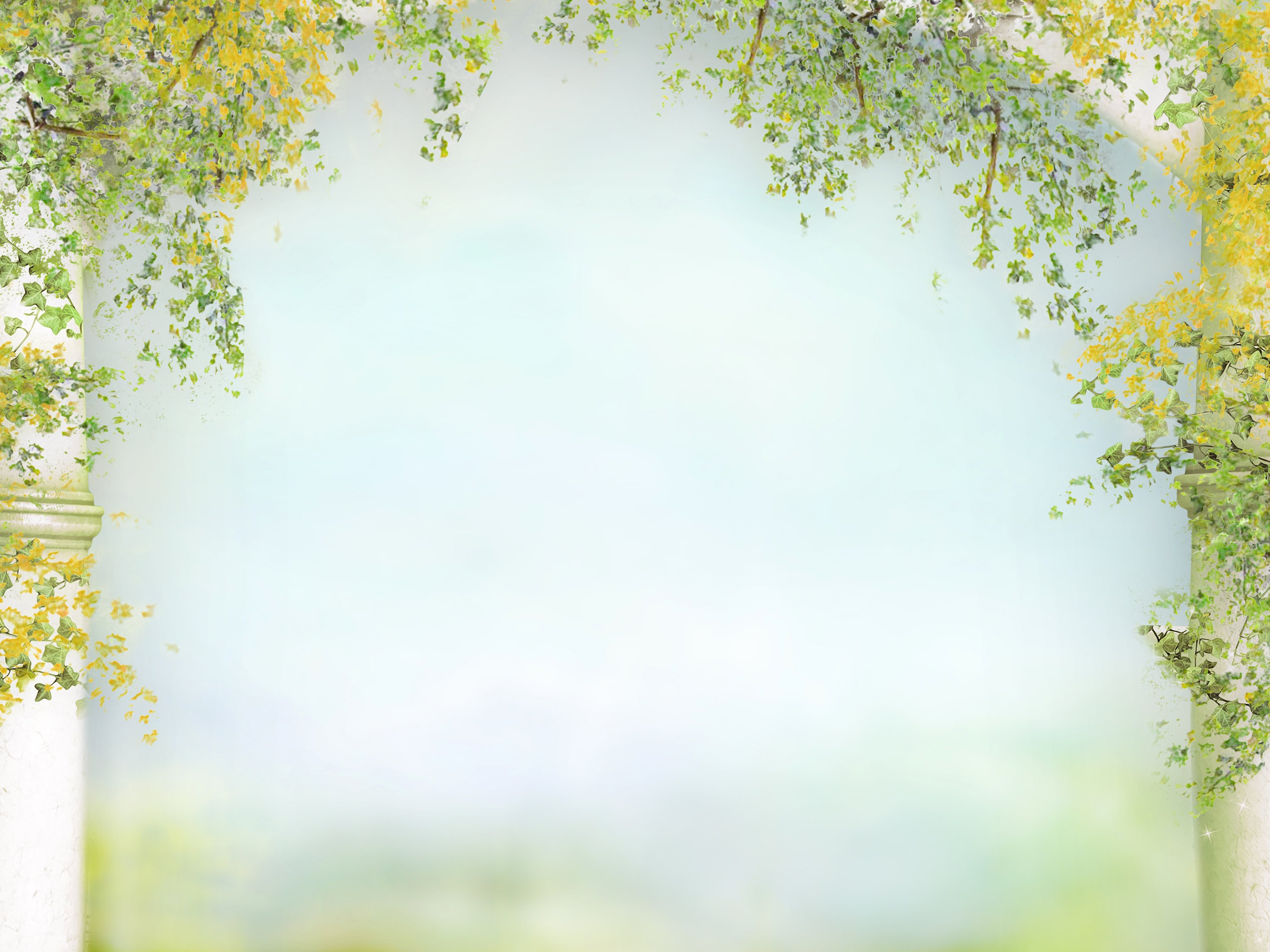 branches, Foliage, Nature Wallpaper
