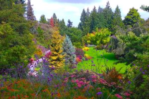 canada, Gardens, Vancouver, Trees, Shrubs, Queen, Elizabeth, Garden, Nature