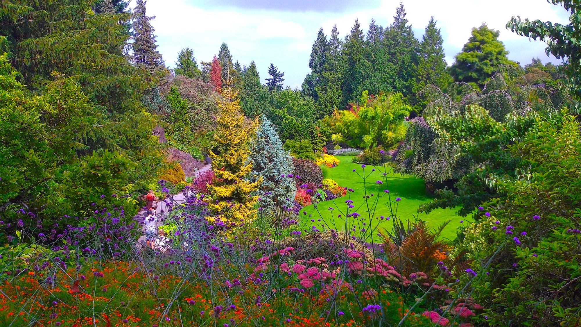 canada, Gardens, Vancouver, Trees, Shrubs, Queen, Elizabeth, Garden, Nature Wallpaper