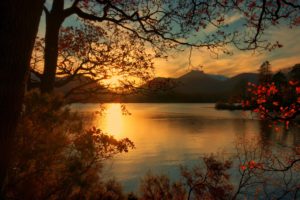england, Sunrises, And, Sunsets, Lake, Scenery, Branches, Keswick, Nature