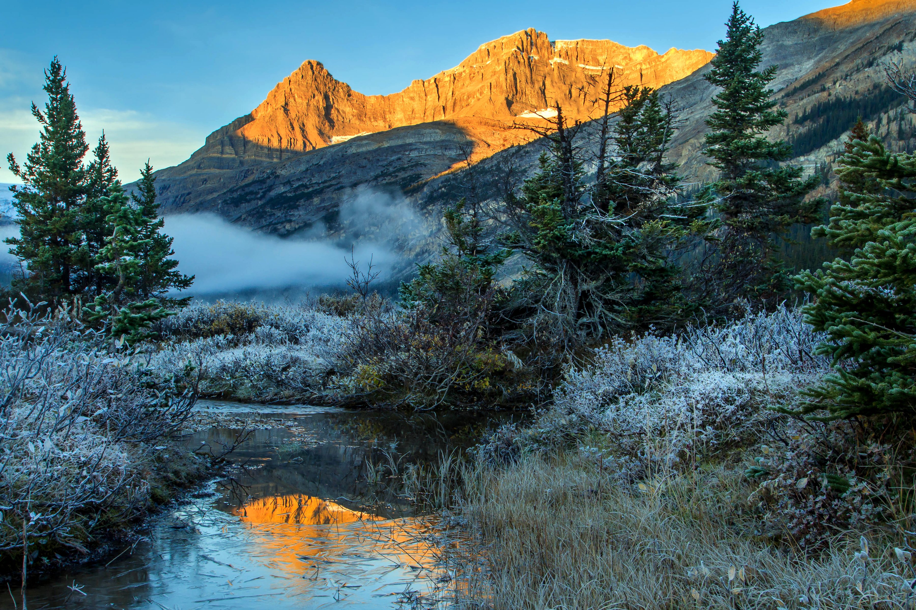 canada, Parks, Mountains, Winter, Scenery, Banff, Fir, Stream, Nature Wallpaper