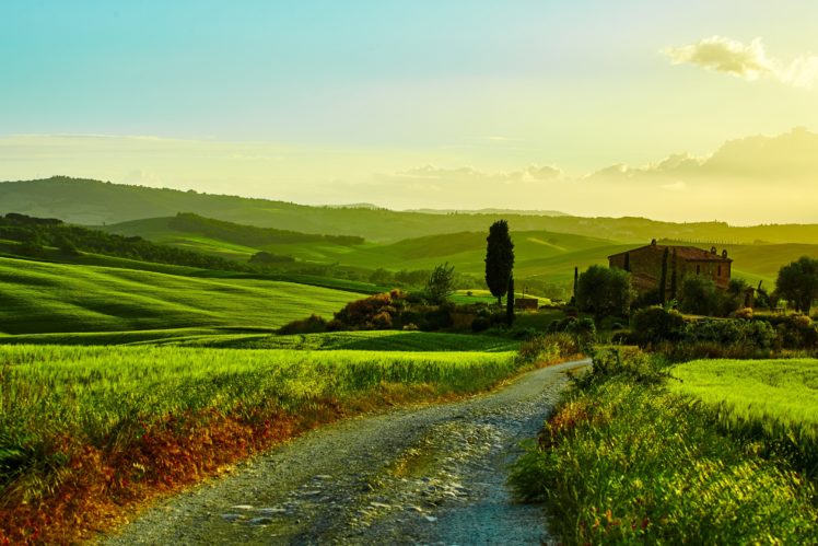 italy, Scenery, Fields, Grasslands, Roads, Tuscany, Hills, Nature HD Wallpaper Desktop Background