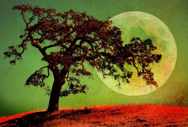 planets, Trees, Nature, Moon HD Wallpaper Desktop Background