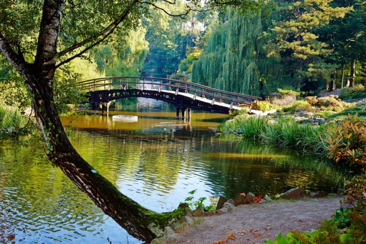 parks, Rivers, Bridges, Trees, Trunk, Tree, Nature HD Wallpaper Desktop Background