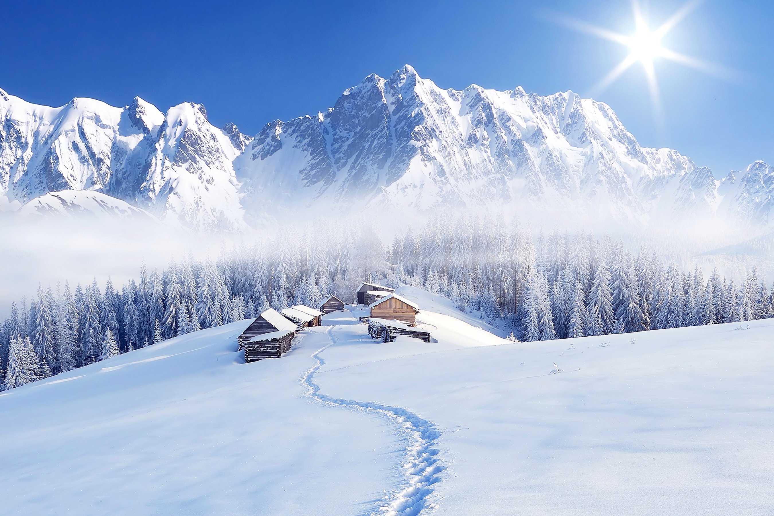 winter, Mountains, Snow, Fir, Rays, Of, Light, Nature Wallpaper