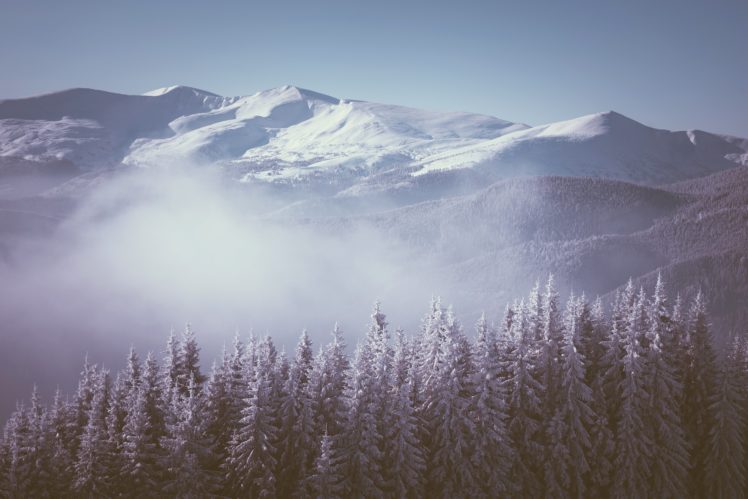 winter, Mountains, Fir, Fog, Nature HD Wallpaper Desktop Background