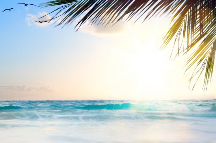sea, Sky, Resorts, Palma, Template, Greeting, Card, Nature HD Wallpaper Desktop Background