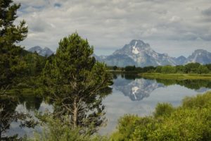 usa, Scenery, Mountains, Lake, Sky, Trees, Moran, Wyoming, Nature