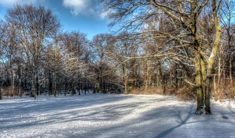 winter, Trees, Snow, Hdr, Nature HD Wallpaper Desktop Background