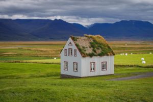 houses, Grasslands, Iceland, Grass, Sod house, Nature