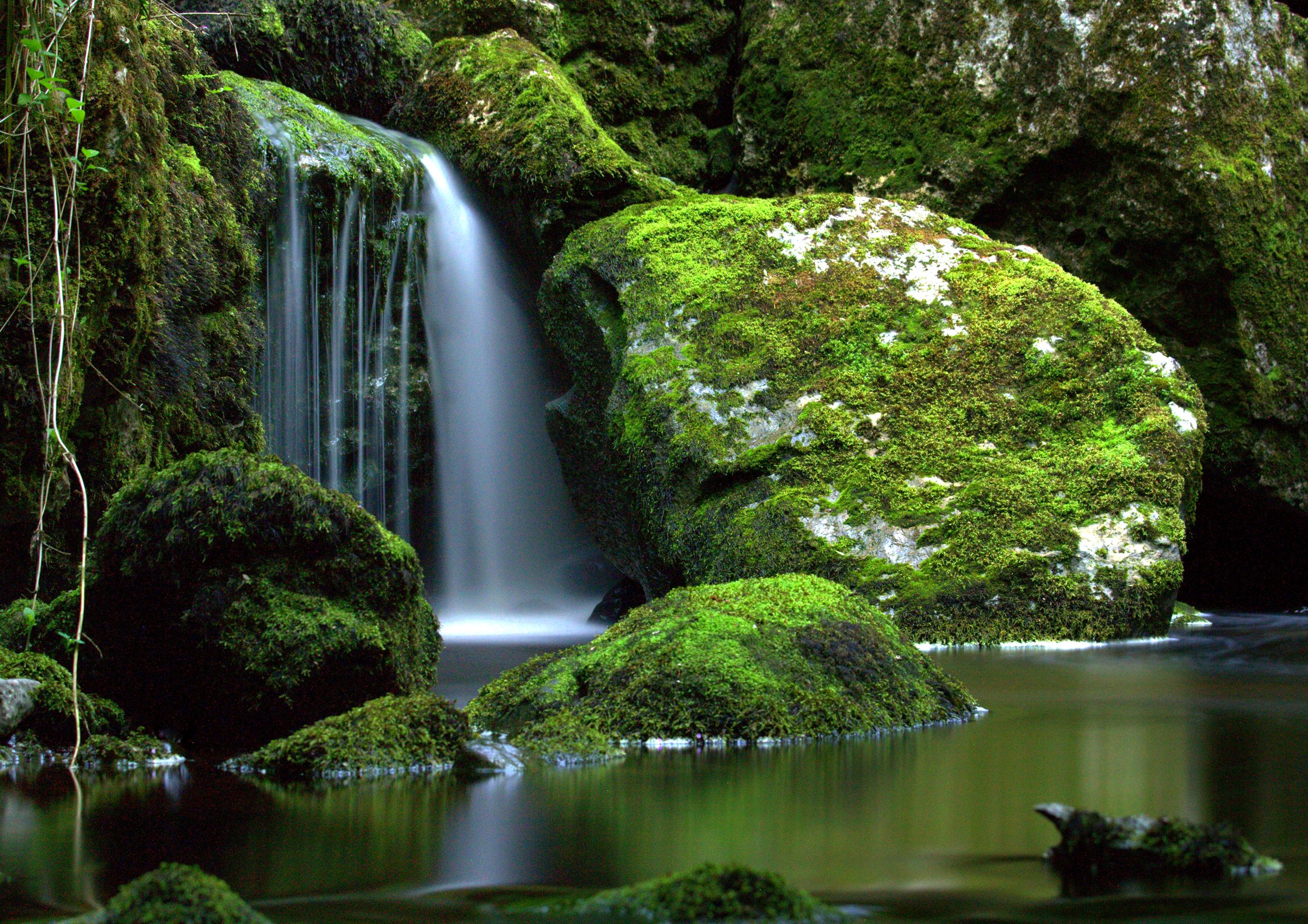 ireland, Rivers, Waterfalls, Stones, Moss, Cladagh, River, Nature Wallpaper