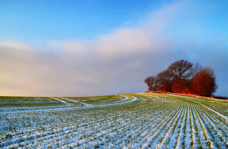 seasons, Winter, Fields, Trees, Snow, Nature HD Wallpaper Desktop Background