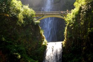 usa, Waterfalls, Bridges, Crag, Shrubs, Multnomah, Waterfalls, Nature