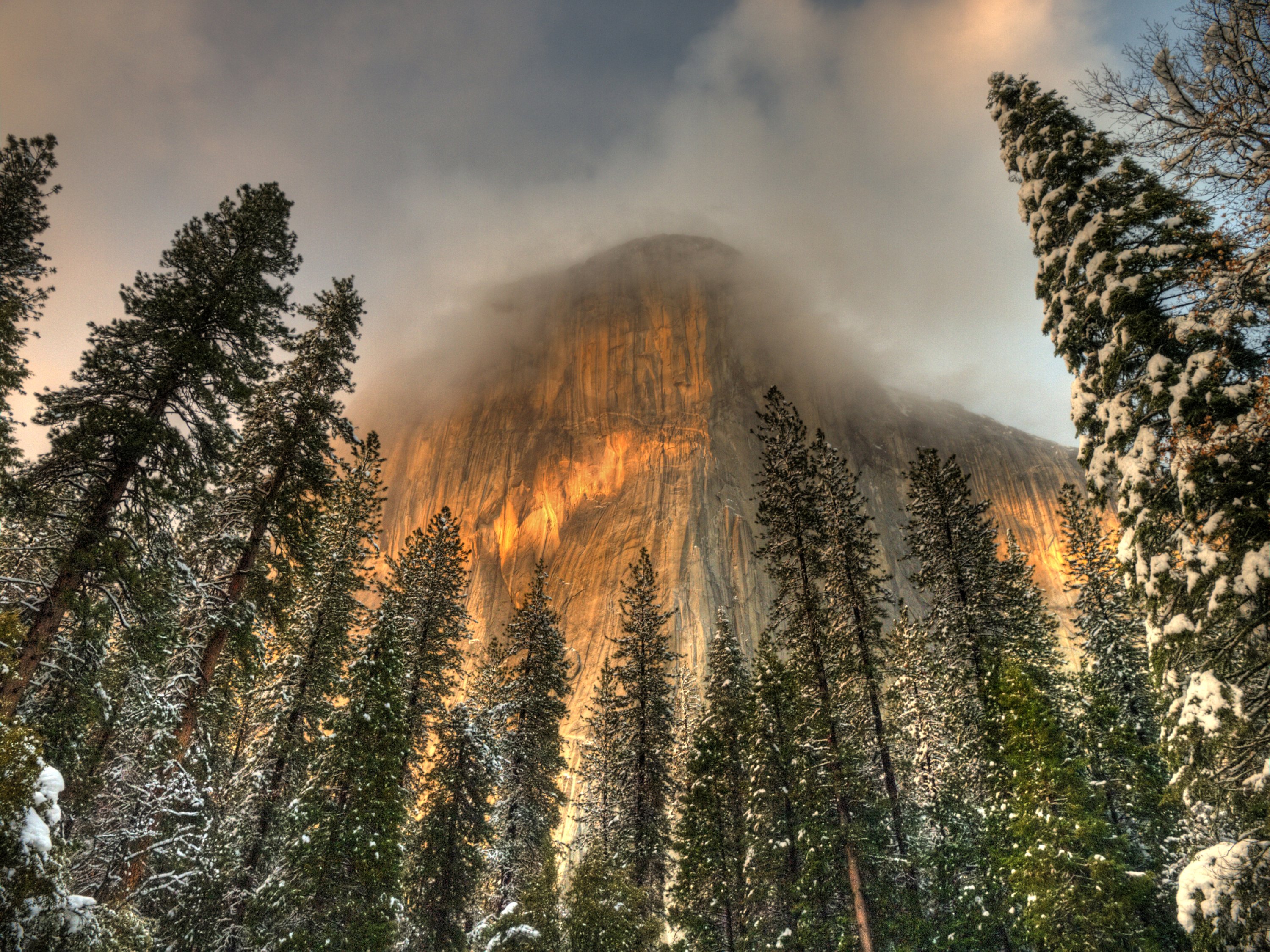 usa, Parks, Mountains, Winter, Yosemite, California, Fir, Nature Wallpaper