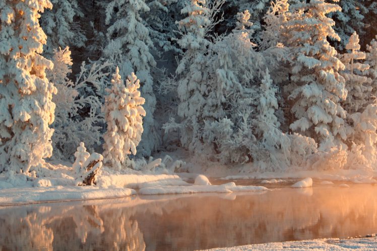 winter, Fir, Snow, Nature HD Wallpaper Desktop Background