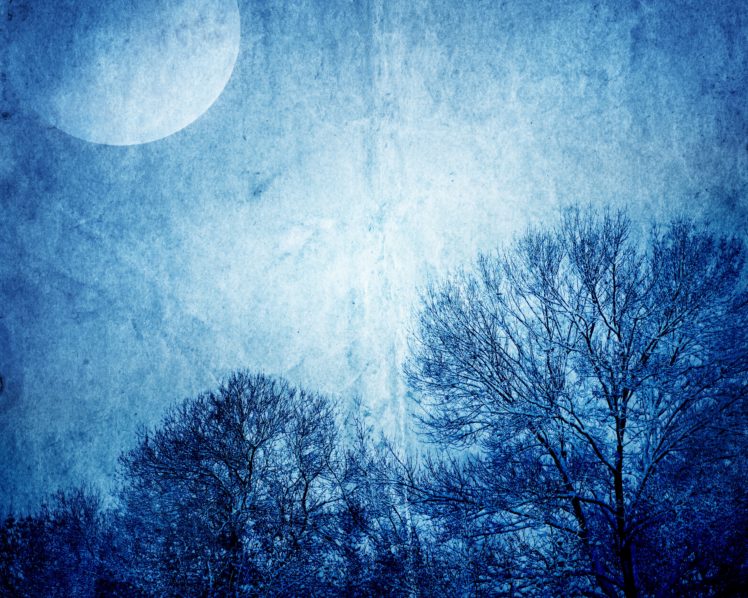 sky, Night, Moon, Branches, Nature HD Wallpaper Desktop Background