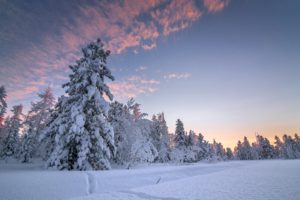winter, Sky, Snow, Fir, Nature