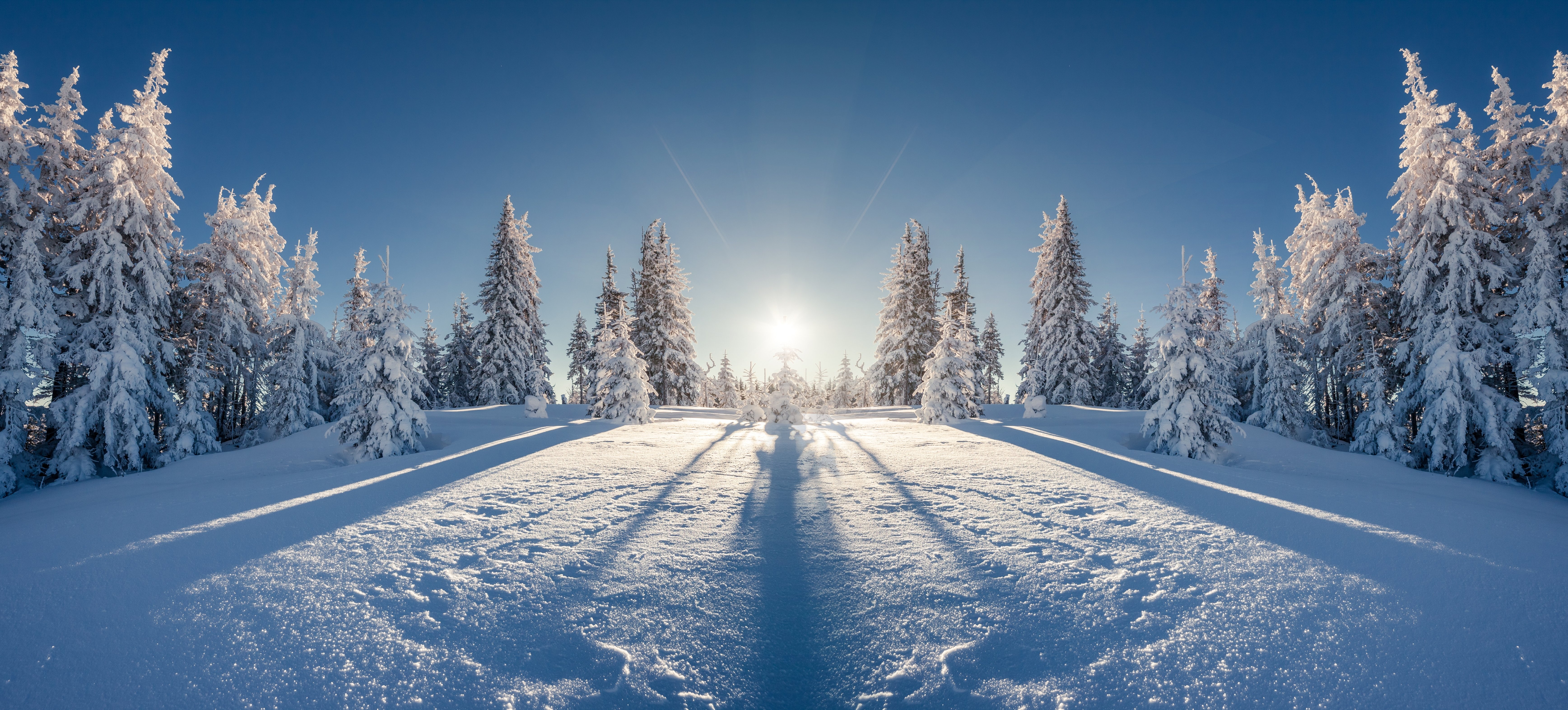 winter, Snow, Trees, Fir, Nature Wallpaper