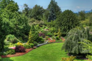 canada, Gardens, Vancouver, Lawn, Shrubs, Trees, Queen, Elizabeth, Garden, Nature