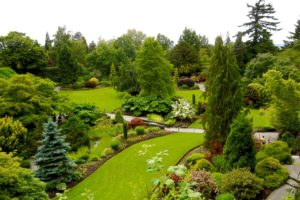canada, Gardens, Vancouver, Trees, Lawn, Shrubs, Fir, Queen, Elizabeth, Garden, Nature