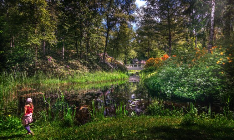 parks, Pond, Bridges, Trees, Shrubs, Nature HD Wallpaper Desktop Background