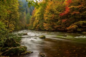 rivers, Forests, Germany, Autumn, Harz, Nature