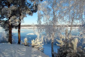 russia, Winter, Rivers, Trees, Snow, Fir, Nature