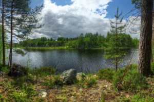 russia, Lake, Forests, Stones, Trunk, Tree, Island, Kilpola, Lake, Ladoga, Karelia, Nature