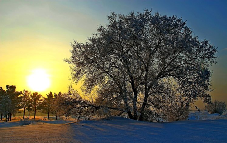russia, Winter, Sunrises, And, Sunsets, Trees, Snow, Sun, Nature HD Wallpaper Desktop Background