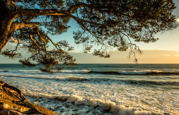 france, Waves, Sea, Branches, Liouquet, Natur HD Wallpaper Desktop Background