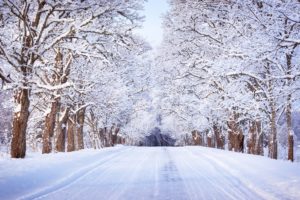 winter, Roads, Trees, Snow, Nature
