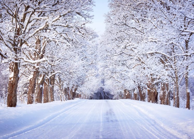 winter, Roads, Trees, Snow, Nature HD Wallpaper Desktop Background