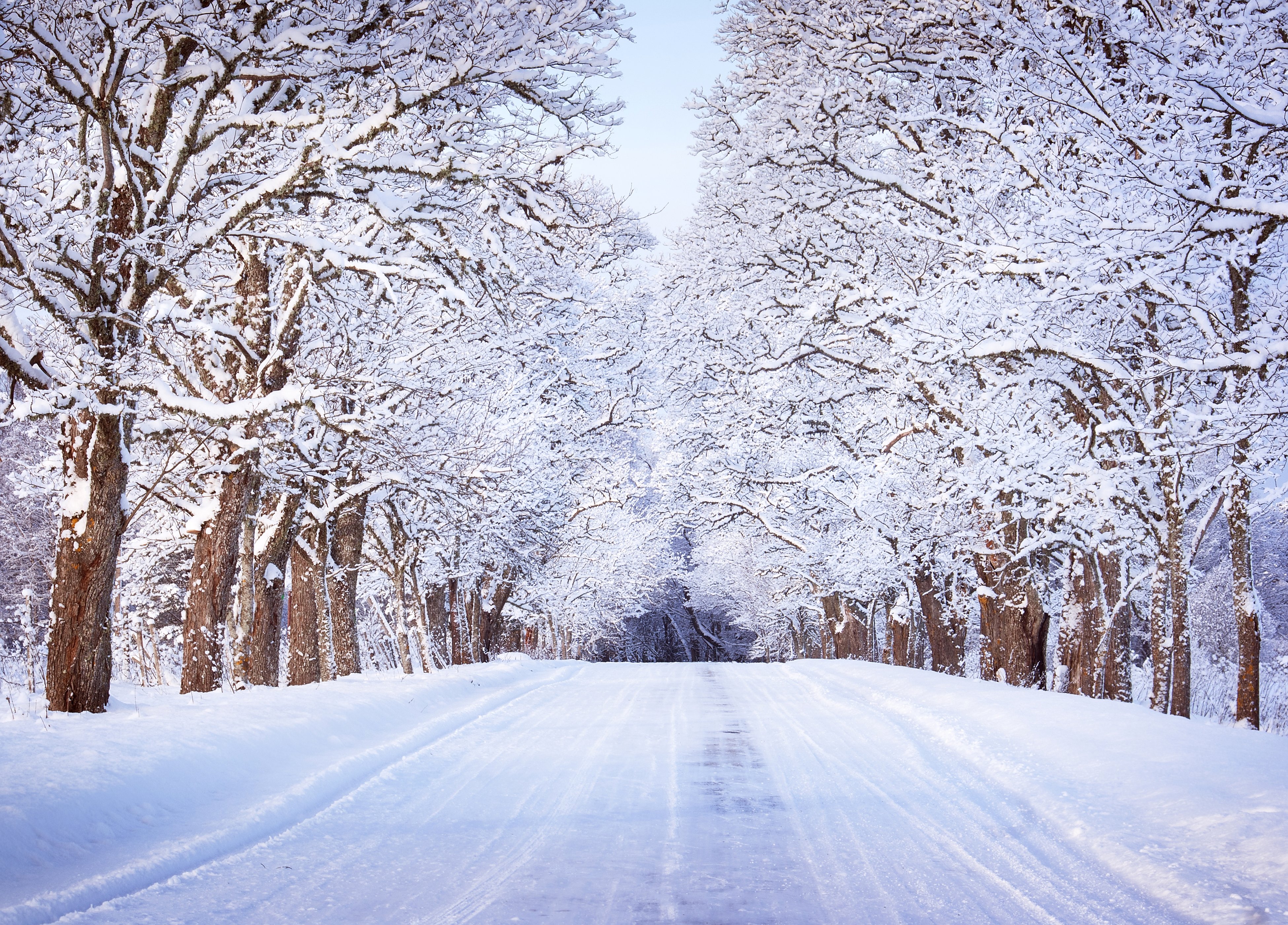 winter, Roads, Trees, Snow, Nature Wallpaper