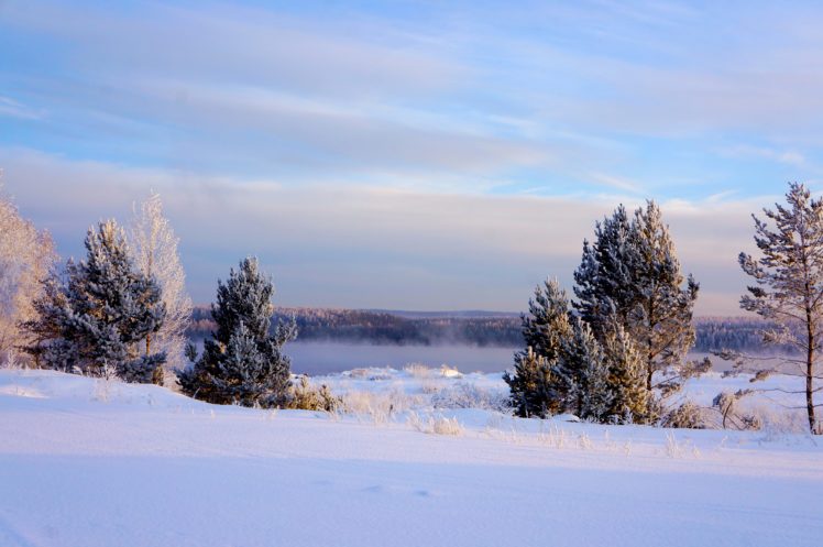 winter, Sky, Fir, Snow, Nature HD Wallpaper Desktop Background