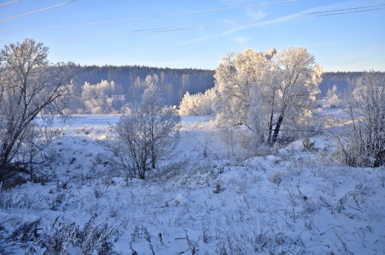 winter, Snow, Trees, Nature HD Wallpaper Desktop Background