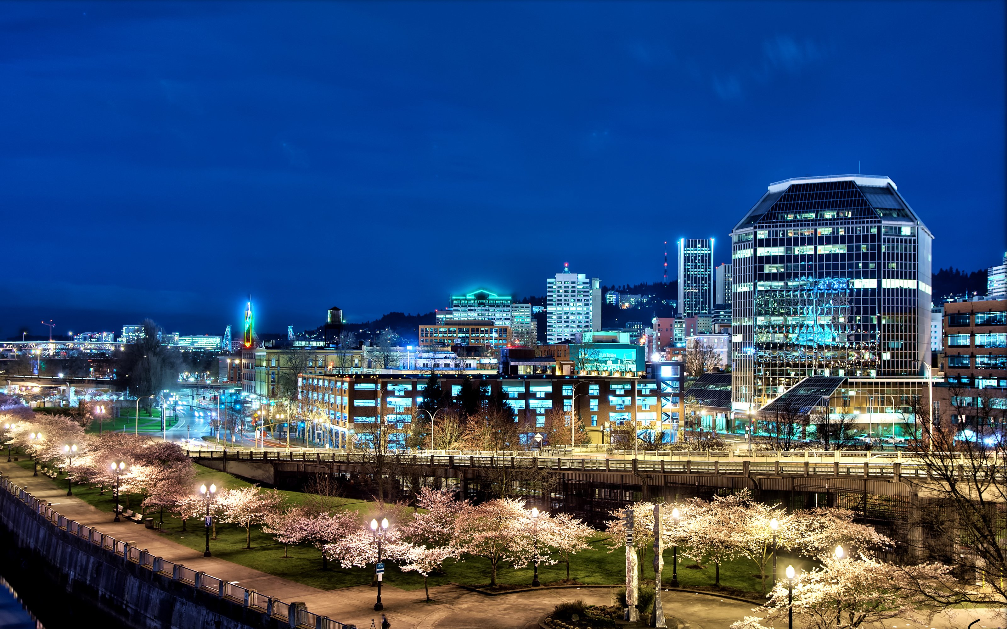 usa, Houses, Bridges, Roads, Flowering, Trees, Night, Street, Lights, Portland, Cities Wallpaper