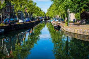 netherlands, Canal, Street, Trees, Street, Lights, Hoorn, Cities